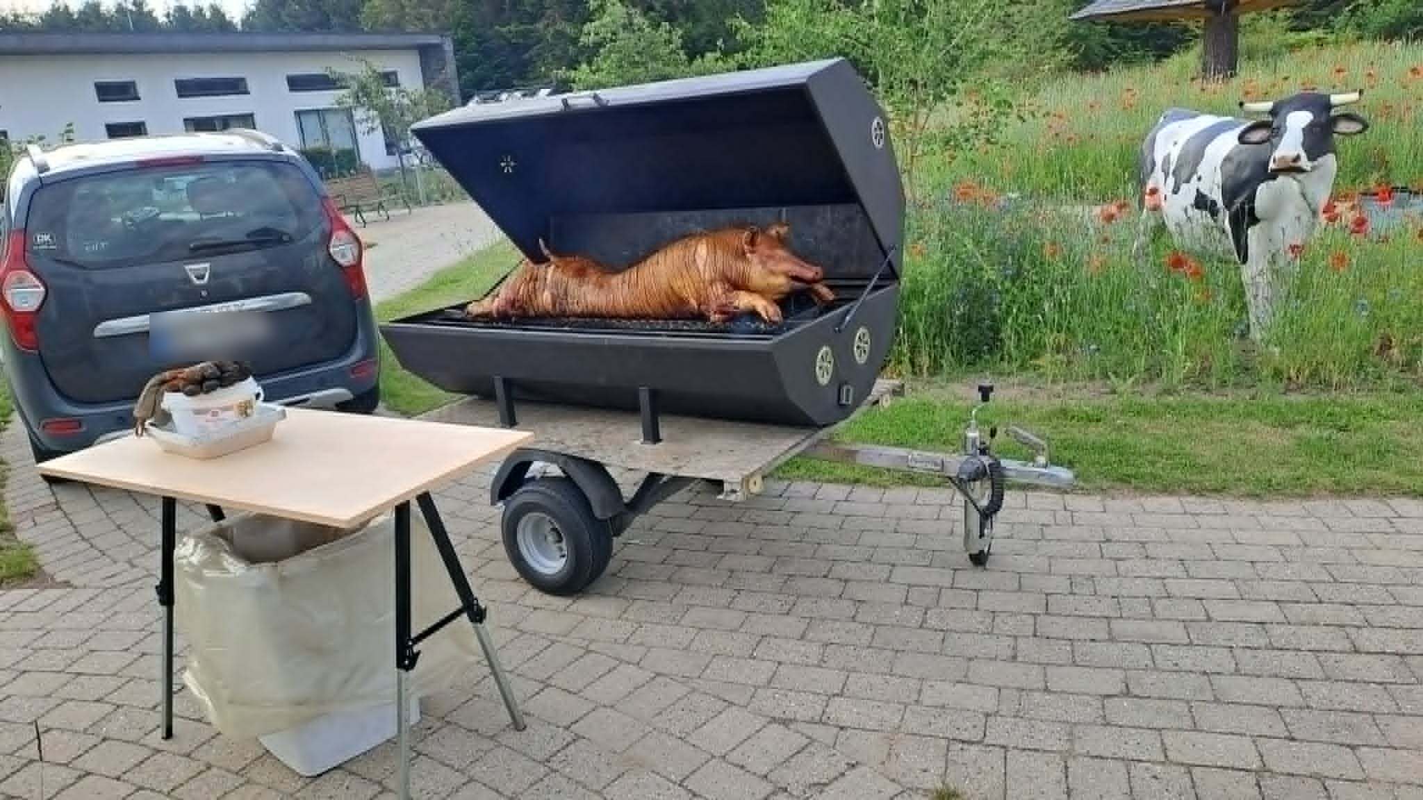 Gris på grillen på traileren